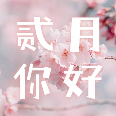 二月你好正能量日签问候公众号次图 模板ID：44925