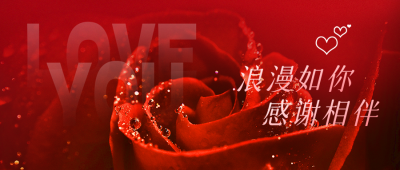 情人节玫瑰实景公众号首图 模板ID：46079