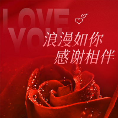 情人节玫瑰实景公众号次图 模板ID：46083