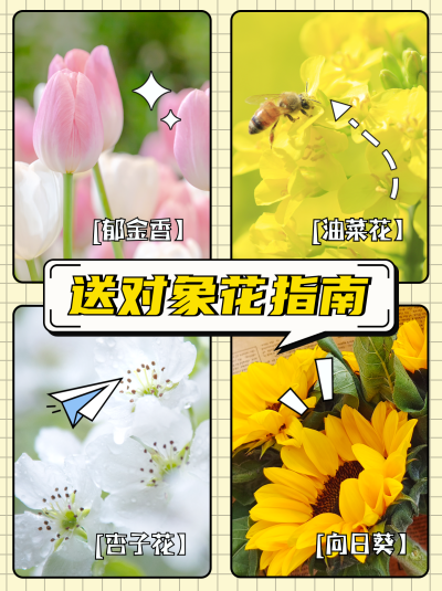 情侣送花指南宣传小红书封面 模板ID:47345