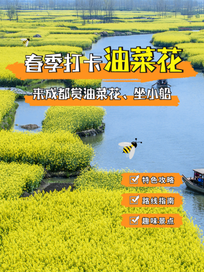 油菜花风景实景旅游宣传小红书封面 模板ID:47371
