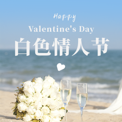 浪漫白色情人节520实景海边手公众号封面次图 模板ID：47672