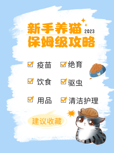 蓝色手绘风新手养猫小红色封面 模板ID:47908