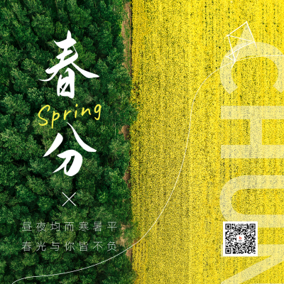 春分节气实景方形海报 模板ID：48109