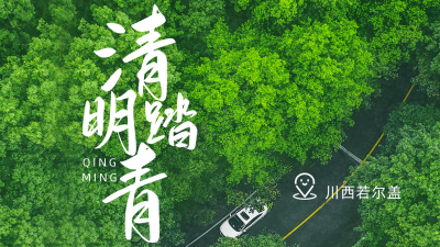 清明节踏青实景公众号图片封面 模板ID：48533