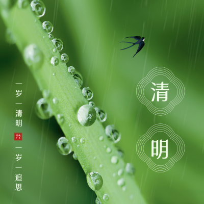 清明节实景方形海报 模板ID：48628