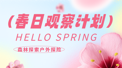 春日观察计划公众号图片封面 模板ID：48909