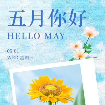 五月你好清新文艺日签方形海报 模板ID：49927