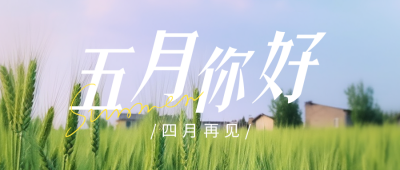五月你好实景公众号首图 模板ID：50647