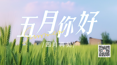 五月你好实景二维码海报 模板ID：50650