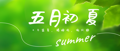 五月你好清新树叶实景日签公众号封面首图 模板ID：50689