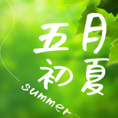 五月你好清新树叶实景日签公众号封面次图 模板ID：50690