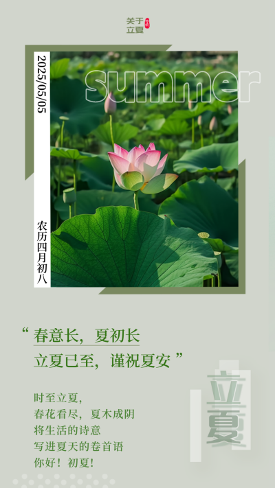 绿色简约风立夏竖版配图 模板ID：50751