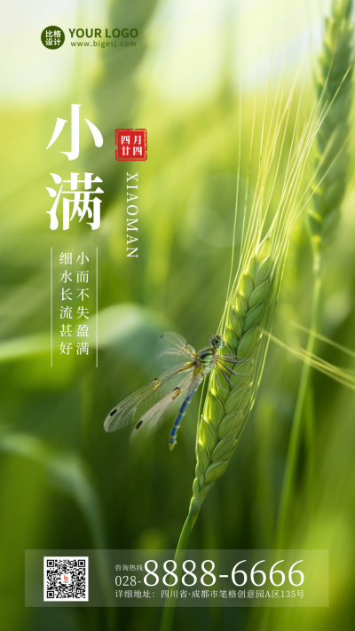 小满节气小麦风景手机海报 模板ID:51624