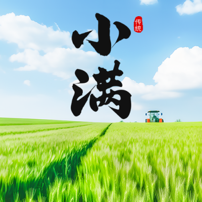 小满节气麦田实景公众号次图 模板ID：51699