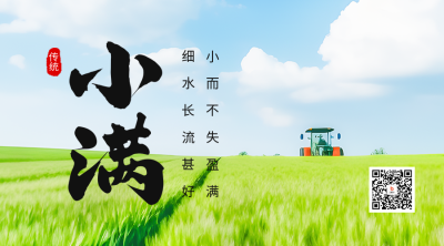 小满节气麦田实景二维码海报 模板ID：51700
