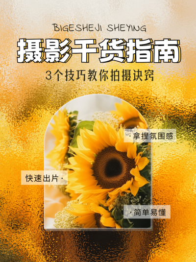 摄影小技巧指南小红书封面 模板ID:51718