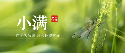 小满节气实景封面首图 模板ID:51760