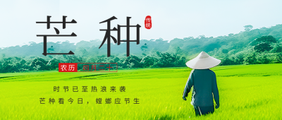 芒种节气实景公众号首图 模板ID：52467