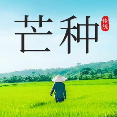 芒种节气实景公众号次图 模板ID：52468