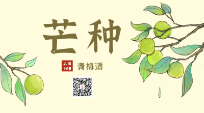 芒种节气宣传二维码 模板ID：52570