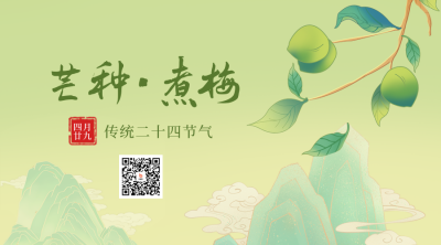 芒种煮梅节气宣传二维码 模板ID：52588