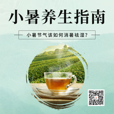 小暑节气养生指南方形海报 模板ID：54465