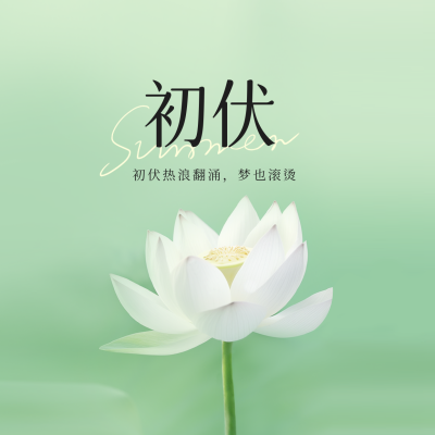 初伏实景方形海报 模板ID：54603