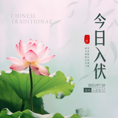 三伏天实景方形海报 模板ID：54769
