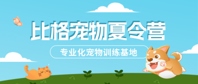 宠物训练营优惠封面首图 模板ID:54790