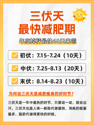 三伏天减肥瘦身分享小红书封面 模板ID：54867