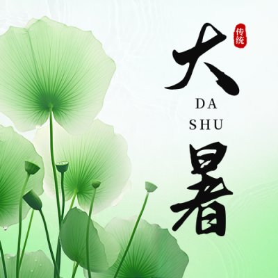 大暑节气荷叶实景公众号次图 模板ID：55007