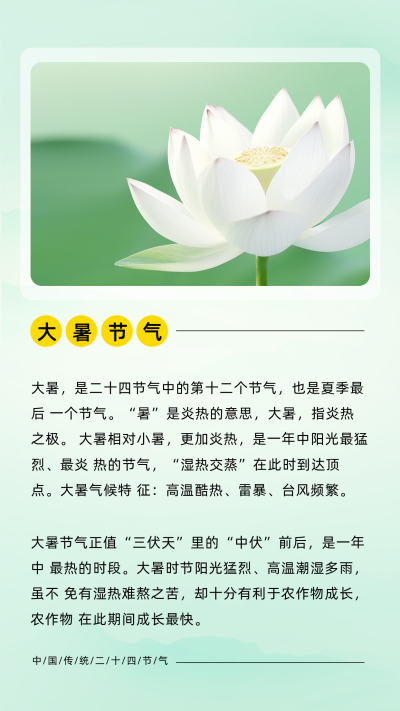 清新夏季传统大暑节气竖版配图 模板ID:55346
