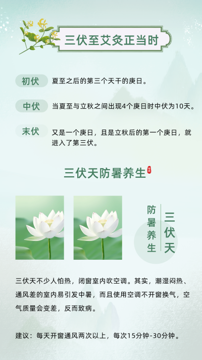 文艺夏季三伏天养生知识竖版配图 模板ID：55347