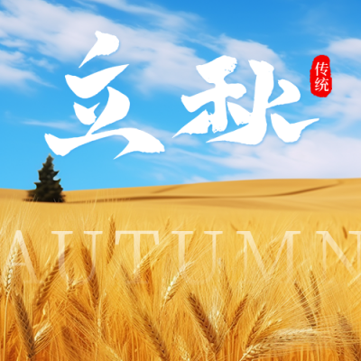 立秋节气金黄麦田日签公众号次图 模板ID：56041