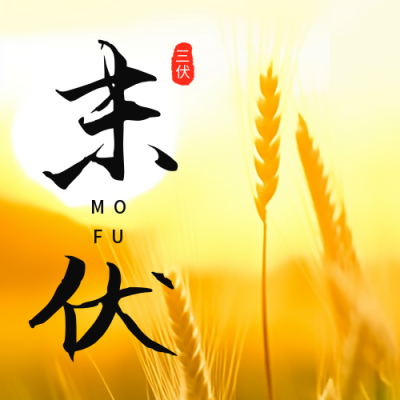 末伏节气日签公众号次图 模板ID：56285