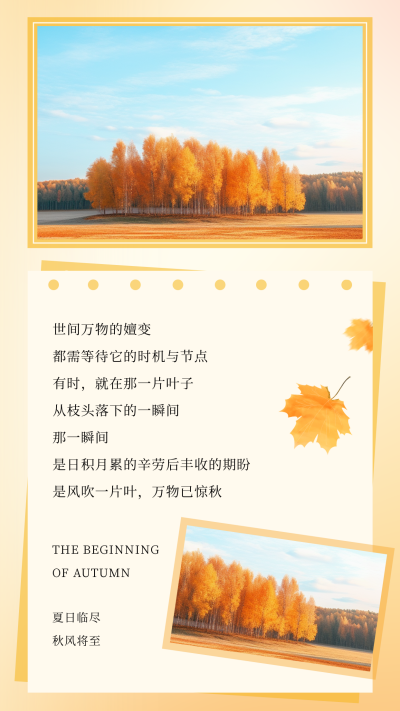 秋天枫叶飘落日签竖版配图 模板ID：56857