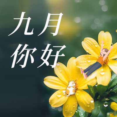 九月你好雏菊实景日签公众号封面次图 模板ID：57268