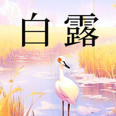 白露节气手绘芦苇白鹭公众号次图 模板ID：57598