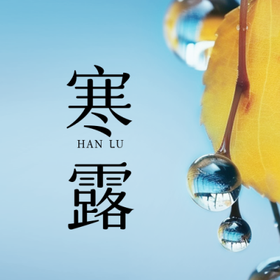 寒露秋季节气封面次图 模板ID：58317