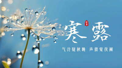 传统寒露节气实景公众号新图文封面图 模板ID：58398