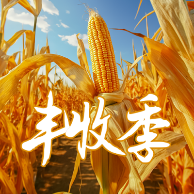 丰收季日签公众号次图 模板ID：59059