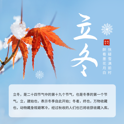 立冬节气习俗科普方形海报 模板ID：59409