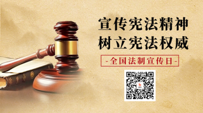 法制宣传日二维码海报 模板ID：59683
