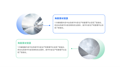 简约两项并列关系图例 模板ID:59863