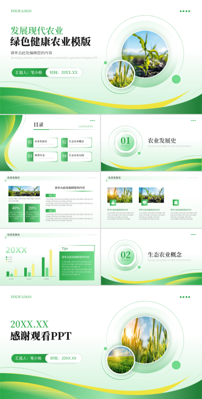 发展现代农业绿色健康农产品PPT 模板ID:64459