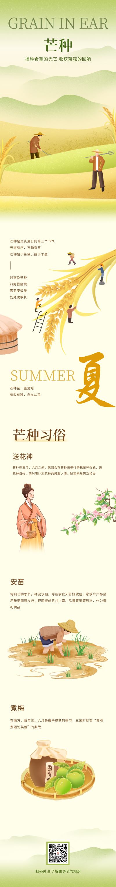芒种节气习俗科普公众号长图 模板ID：66581