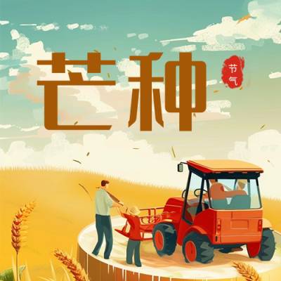 芒种节气祝福问候公众号次图 模板ID：66593