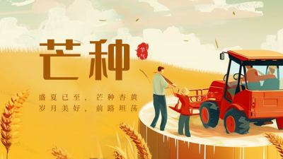 芒种节气祝福问候公众号新图文封面图 模板ID：66594