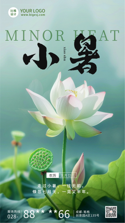 夏季实景小暑节气荷花海报 模板ID:67401
